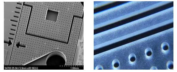 실리콘과(좌) 유리로 만든 마이크로 채널들의 모습