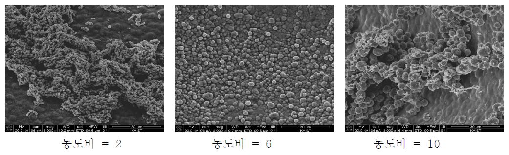 표면 분석 결과