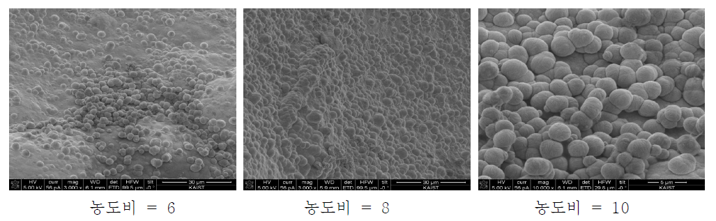 표면 분석 결과