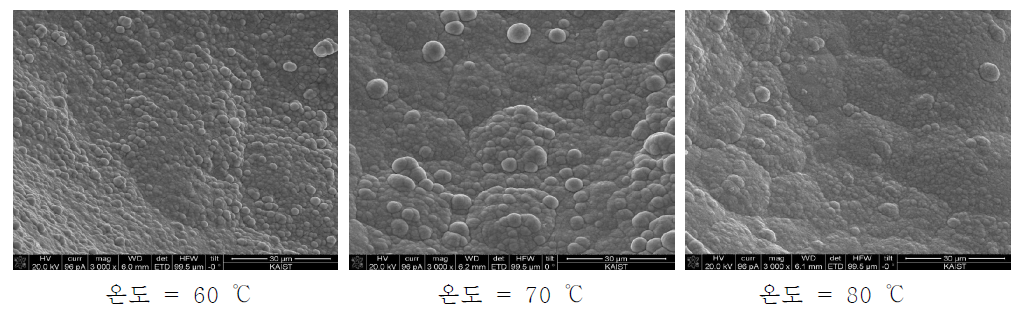 표면 분석 결과