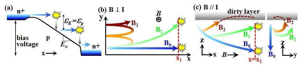 (a) impact ionization과정에 의한 carrier multiplication process (또는 avalanche과정) (b) 자기장이전류에 수직으로 인가된 경우 Lorentz force에의해 impact ionization과정이 억제됨 (c) 자기장이 전류에 평행한 경우 표면의 dirty layer와의 scattering에 의해 impact ionization과정이 억제됨
