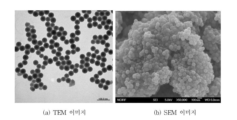 TEM (a) and SEM (b) image of silica nanoparticles