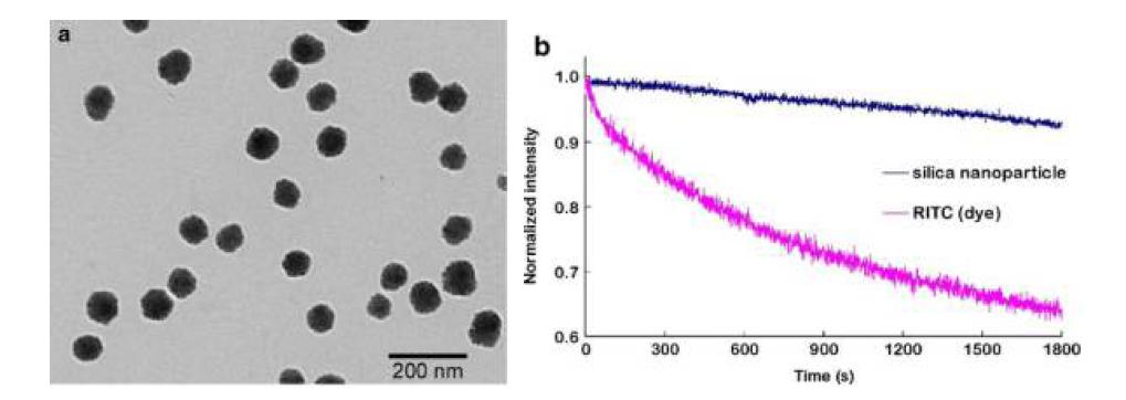 합성한 실리카 나노 입자의 TEM 이미지 (a) 와 photostability실험 결과 (b)