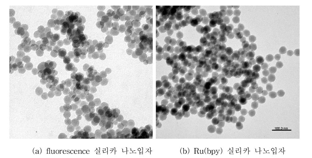 TEM image of TMR (a) and Ru(bpy) (b)-doped silica nanoparticles
