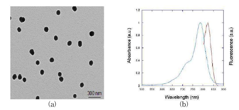 (a) ICG가 도핑된 실리카 나노 입자의 TEM 이미지와 (b) 근적외선에서의 흡수 및 형과 스첵트럼