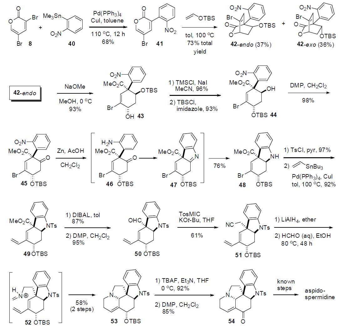 aspidospermidine의 합성을 위한 핵심 중간체 ketone 54의 합성