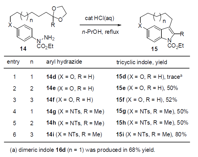aryl hydrazide 14의 분자내 Fischer indolization 반응