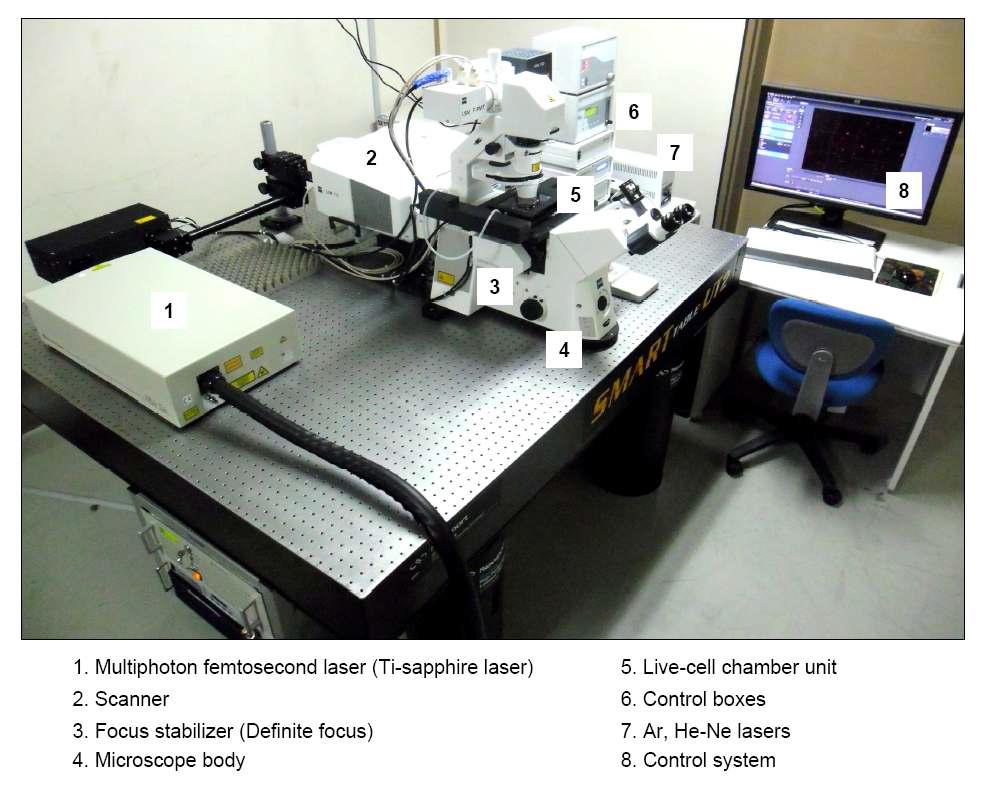 다광자 공초점 현미경 시스템 (독일 Carl Zeiss사 LSM 710 NLO 모델)