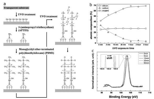 PDMS UV/O 에 의한 표면 개질 기구