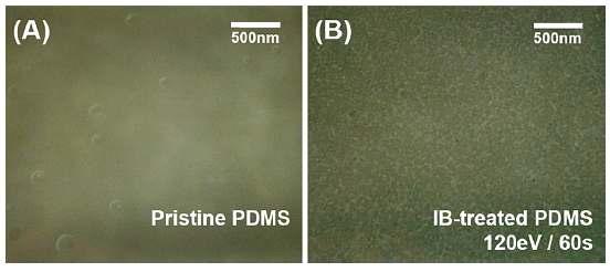 이온빔 처리에 따른 박막 PDMS 의 표면 TEM 이미지