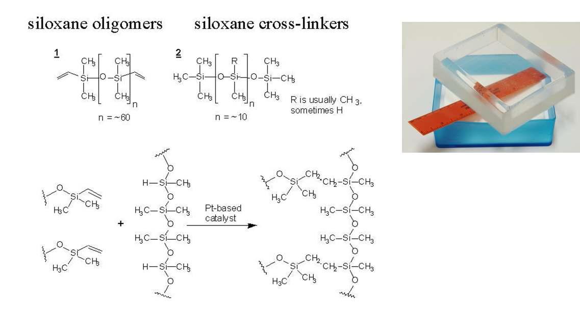 PDMS precursor 와 curing agent 개략도 및 curing 된 PDMS 패드