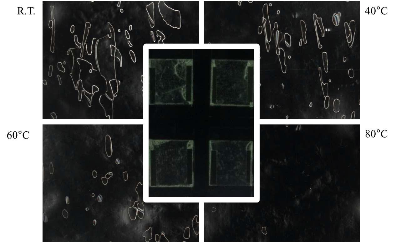 PDMS contact printing 과정 중 온도 인가에 따른 배향특성 (oxygen plasma 처리 후)