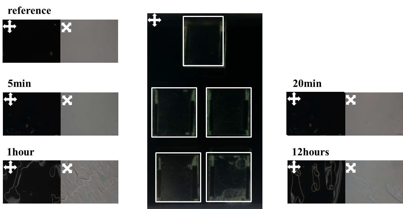 PDMS contact printing 으로 형성된 PDMS 배향막의 열적 안정성 평가