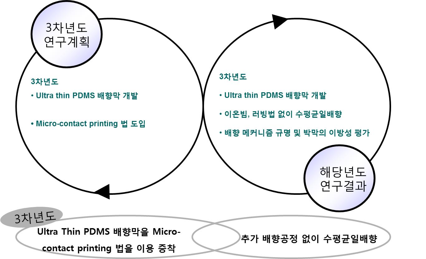 3차년도 당초 연구 계획 및 기 달성 내용