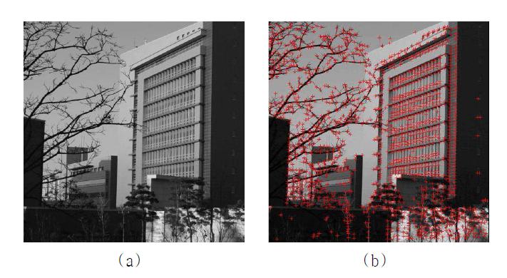 Harris corner detection을 통한 코너 위치 추정; (a) 원 영상 (b) 코너가 추정된 원 영상