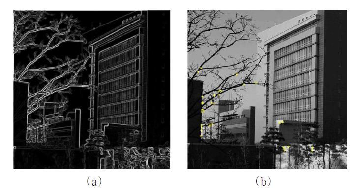 (a) 영상의 밝기 변화도 (b) 영상의 밝기 변화량을 통한 영상에서 코너의 선택