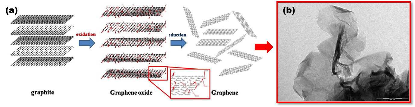 graphite로 부터 고전도성 graphene의 분리 scheme (a), 합성된 graphene 탄소의 TEM 사진 (b)