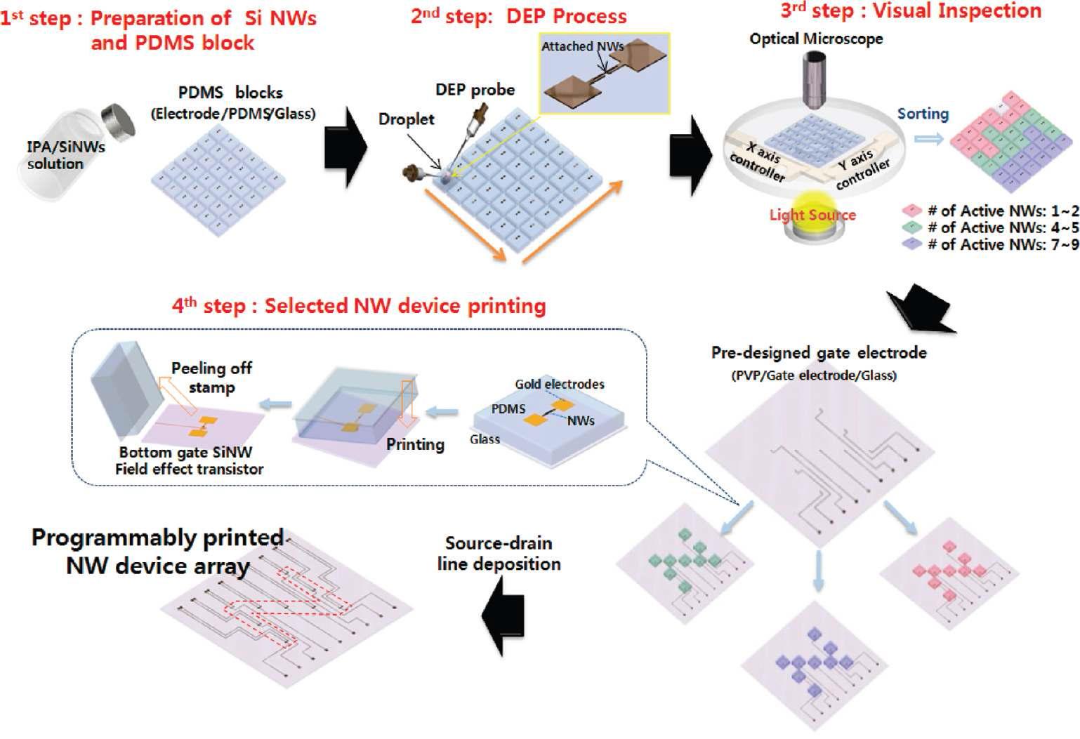 Overall process sequence of programmable NW device fabrication