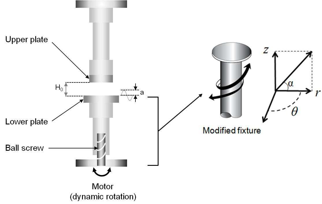 동적 나선 유동(dynamic helical squeeze flow)을 위한 modified fixture의 개략도