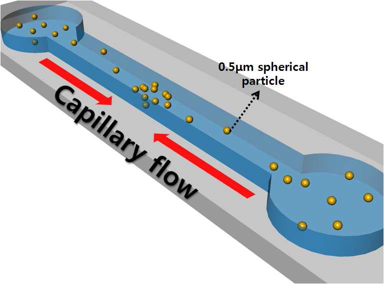 Brownian motion 관찰을 위한 PDMS 마이크로채널