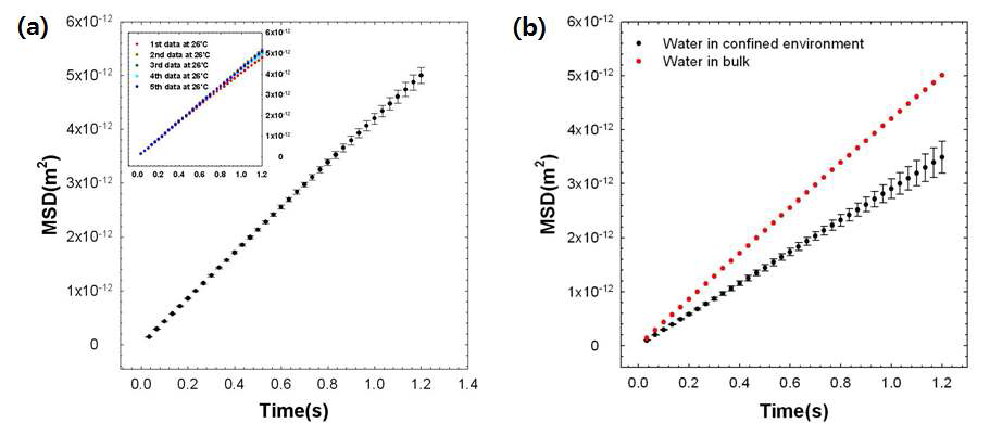 DI water의 mean square displacement (MSD): (a)마이크로채널에서의 MSD, (b)높이 200μm, 폭13mm의 bulk 환경 (붉은색) 및 마이크로채널에서의 MSD 비교