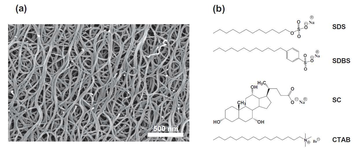 (a) 고순도 단일벽 탄소나노튜브의 SEM 사진과 (b) 4 가지 계면활성제의 화학적 구조