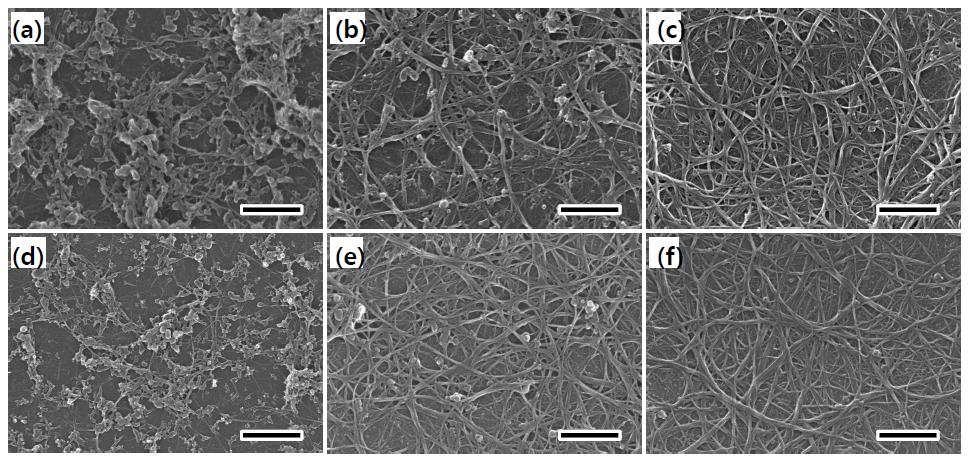산처리 전과 후의 SEM 사진 (a, d) AS-, (b, e) TP-, (c, f) TAP-단일벽 탄소나노튜브