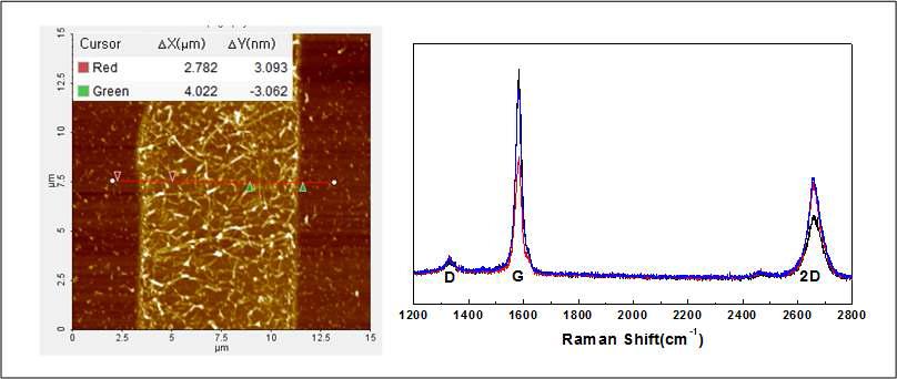 Co 촉매금속박막에서 성장된 그래핀의 AFM 두께 측정결과와 라만 스펙트럼 결과