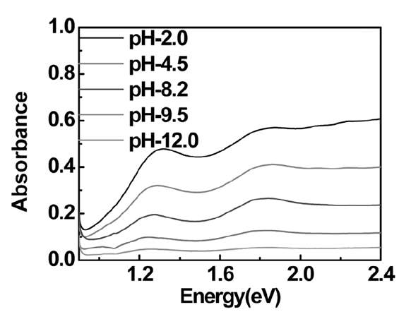 아가로오스의 pH 변화에 따른 Absorbance data