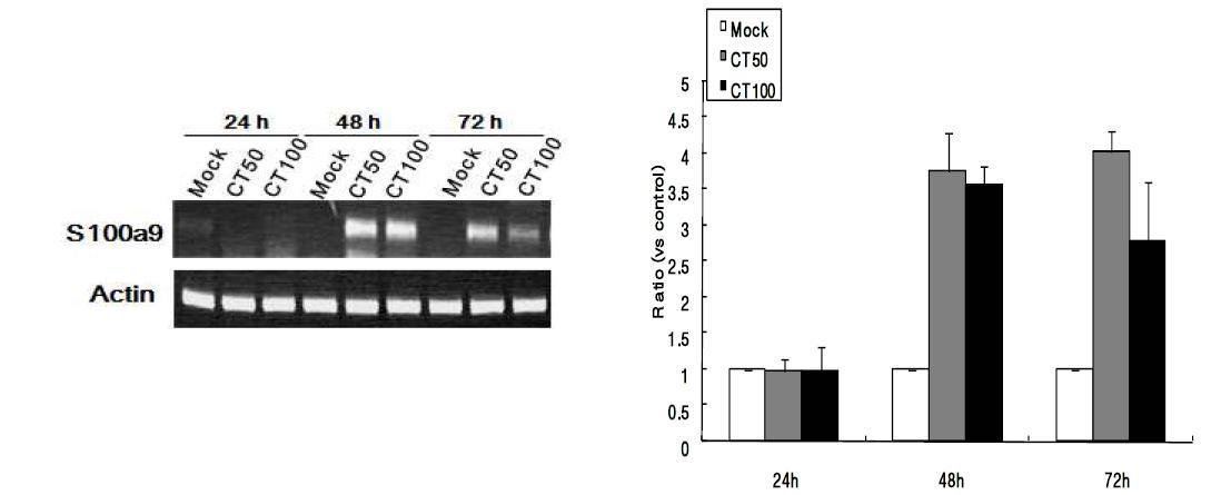 BV2 세포주에서 CT 과발현시 S100a9 mRNA의 발현양상