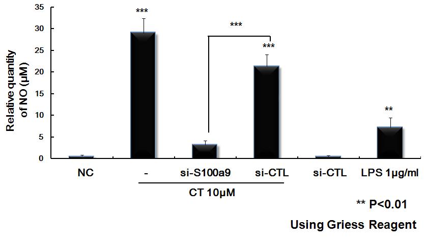 BV2 세포주에서 CT 과발현시 면역 관련 cytokine, chemokine의 발현양상