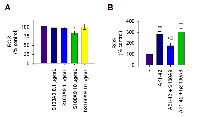 rS100a9 decreased ROS level in THP-1 cells (A) and in Aβ-treated cells.