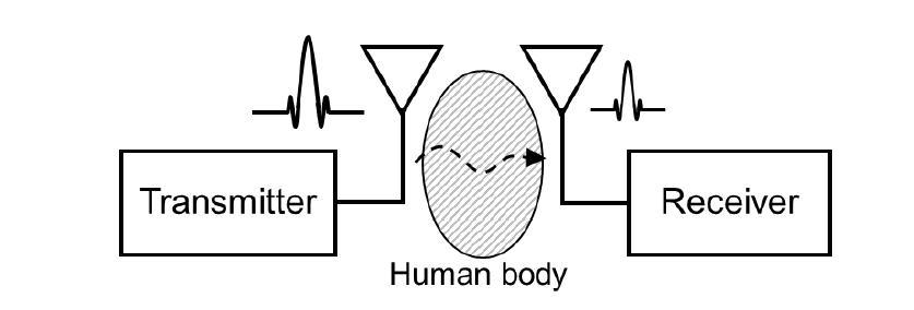 인체 전파손실 특성 분석