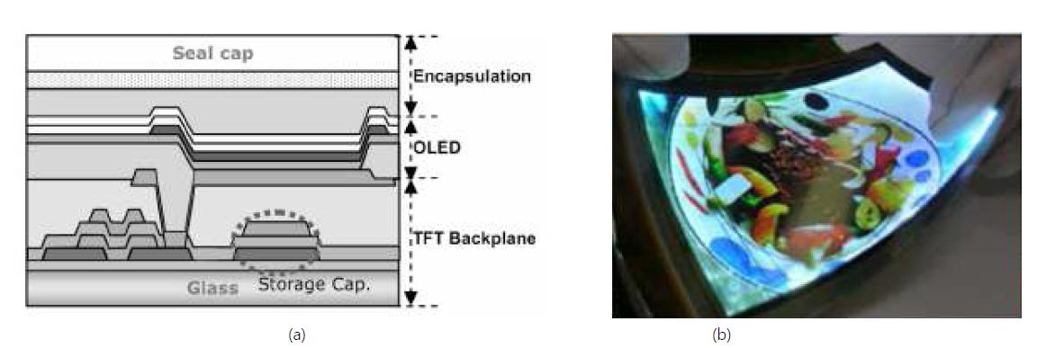 LG전자의 IGZO AMOLED panel 시제품 (SID '07) (a) 소자 구동용 산화물 TFT의 구조, (b) 3.5'' QCIF + full-color AMOLED panel의 데모 이미지