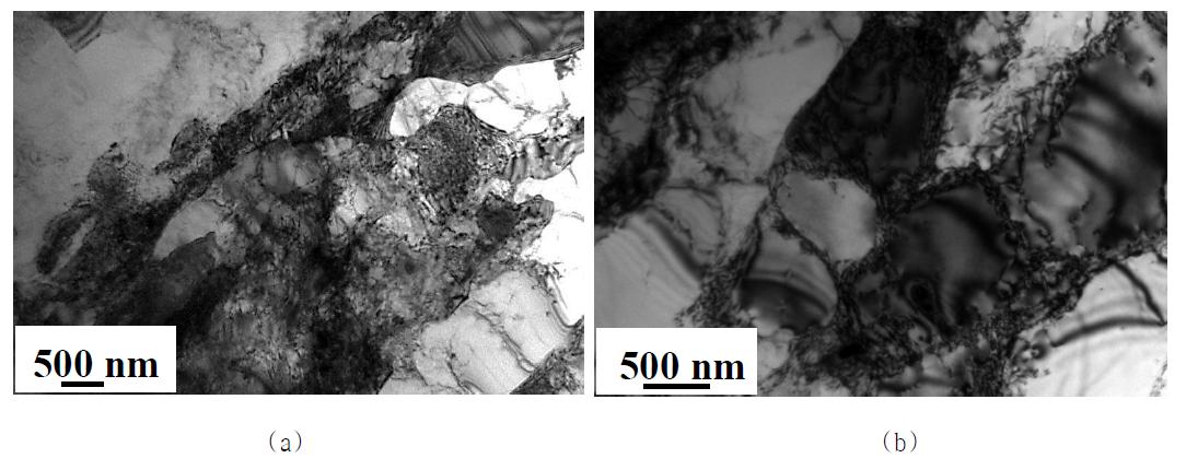 강소성 이속압연으로 제조된 pure Al의 (a)(b) RD-TD 면의 TEM Images.