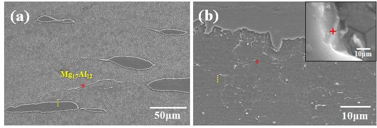 ARB 5cycles 후 (a)시편 단면의 SEM Image, (b)Al-CNT fragments 와 Mg 기지 계면의 SEM Image.