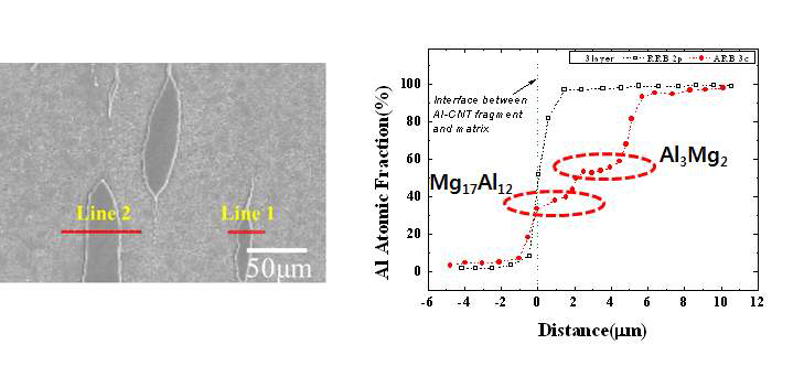 ARB 5cycles 후 시편의 TD면의 미세구조, ARB 3cycles 후 Mg 기지와 Al-CNTs 조각 계면의 Al 조성분석.