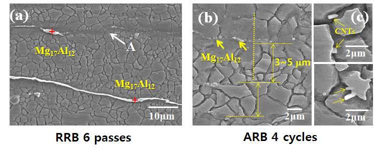 (a) RRB 6passes 후 시편의 TD 면의 미세구조, (b) ARB 4cycles 후 시편의 TD 면의 미세구조