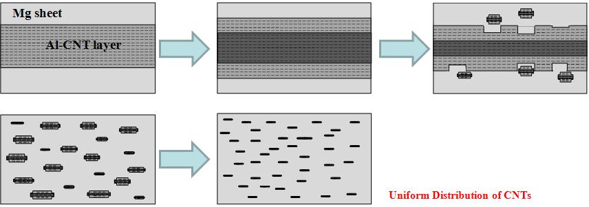 Schematic diagram of Mg-CNT composites