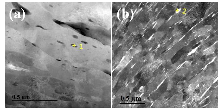 Cu-3vol.% CNT composites 분말로 제조된 (a)등속압연, (b)이속압연 시편의 TEM Image.