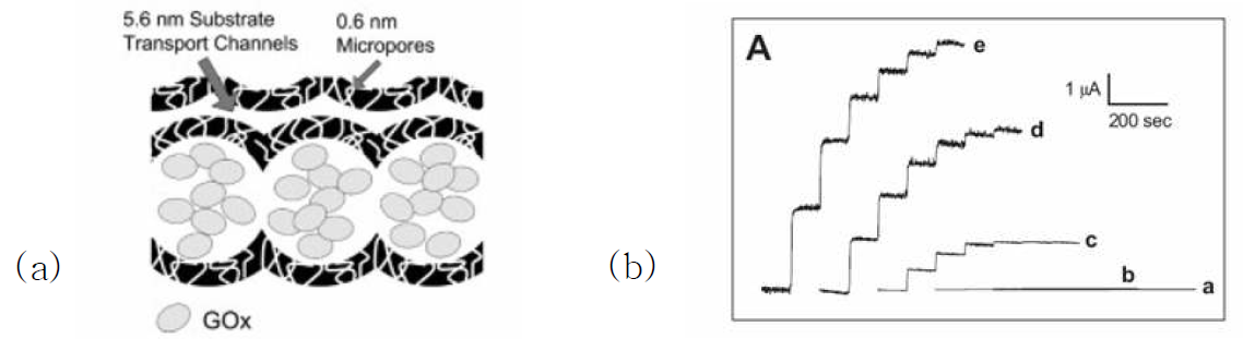 (a) 기공이 큰 MCF-C에 포도당 산화효소를 높은 담지량으로 올려준 모양의 모식도