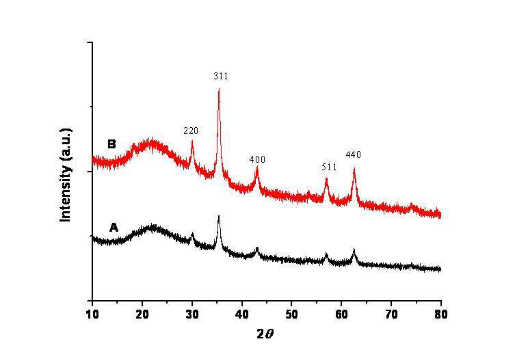 MMS-20 (A), MMS-40 (B)의 X-ray diffraction (XRD) pattern.