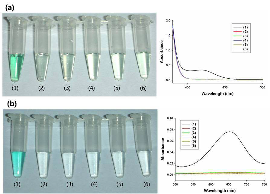 GOx를 MMS에 담지한 nanofactory를 이용한 colorimetric glucose detection 사진.