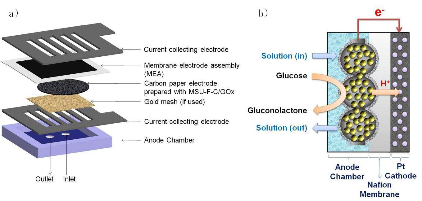a) Home-built 바이오 연료전지의 3차원 구조. b) 바이오 연료전지 assembly의 모식도.