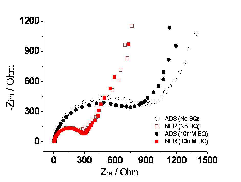ADS and NER anodes를 사용한 바이오 연료전지의 EIS spectra. 10 mM BQ 없이 impedance를 측정했다.