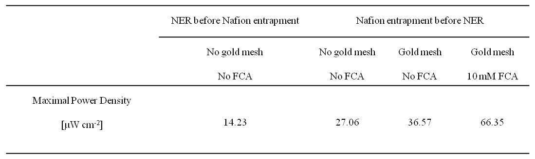 실험 조건 변경에 따른 최대출력밀도 향상