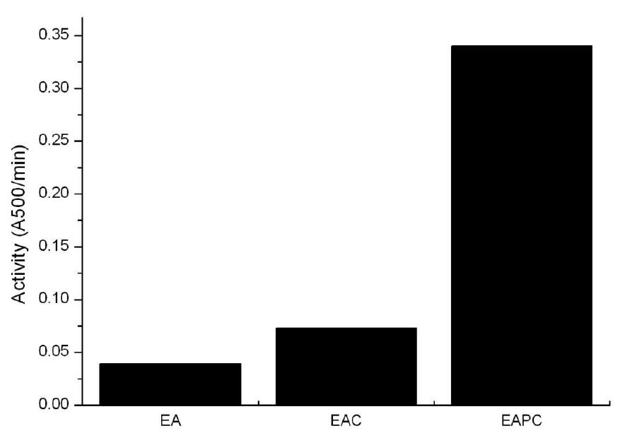 Initial activities of EA, EAC and EAPC