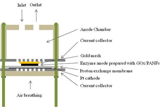 Schematic for the air-breathing biofuel cell.