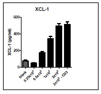NKT 세포의 수에 따른 XCL-1의 분비 확인