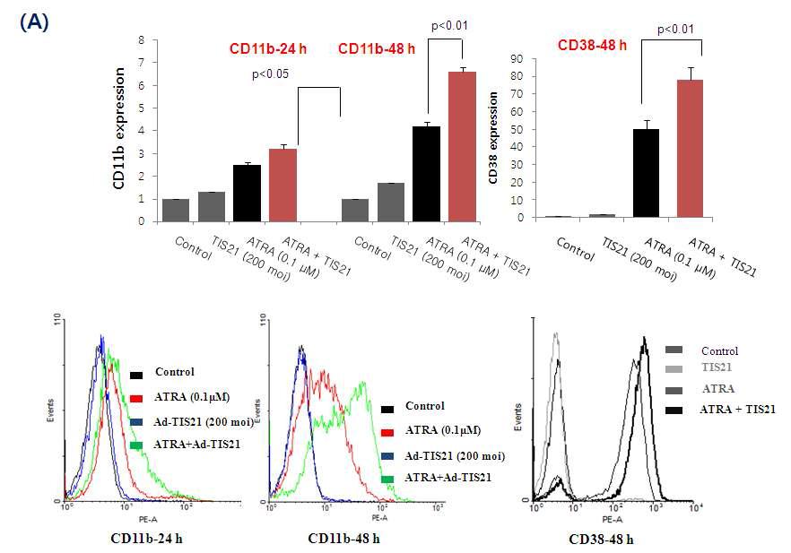 TIS21/BTG2/PC3 enhances ATRA induced differentiation of HL-60 cells